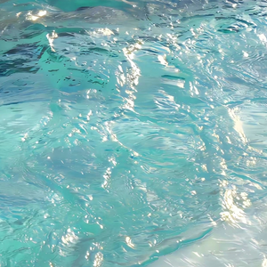 性感美女裸体视频
