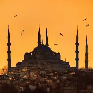 性感美女裸体视频
